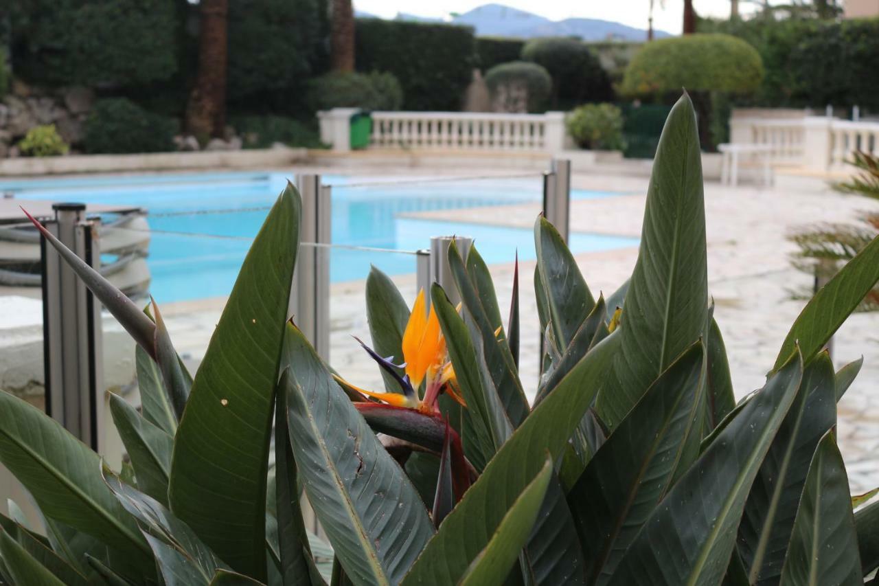 Appartement Palm D'Azur Cannes Luaran gambar